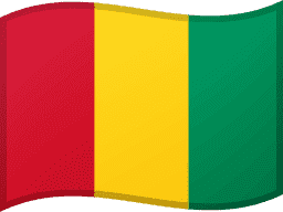 علم غينيا مموج 256x192